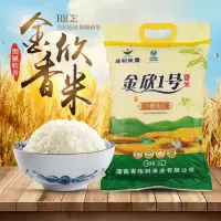 金欣壹号优质香米5kg/10斤长粒米籼稻米优质产地