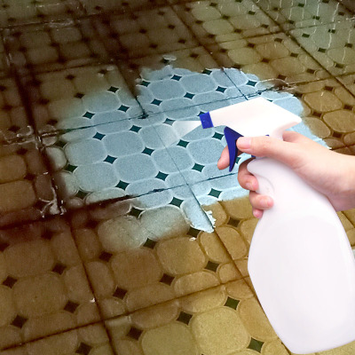 金铂喜瓷砖清洁剂强力去污洗垢除锈迹除厕所地板砖马桶酸高浓度