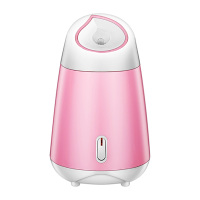 时光旧巷纳米热喷蒸脸器家用面部加湿器果蔬保湿喷雾脸部蒸面器补水仪 粉色标配