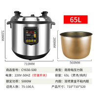 商用电压力锅金蛋大容量大号高压锅家用特大全自动 65L单机 容量可选(具体看图片以及颜色名称)