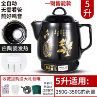 壶金蛋全自动煎药中医壶家用熬药中医砂锅电煎煮药煲药罐养生壶机 5L(白瓷不粘)高配一键智能鸣音
