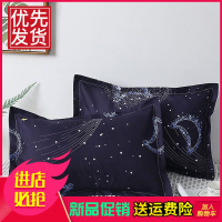 枕套一对装单人学生宿舍成人情侣双人家用枕头罩一只装枕头套单个