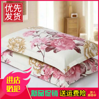 棉枕套一对成人情侣大号48*74枕头套单人加厚学生枕芯套枕巾冬[3月25日发完]