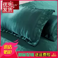 俞兆林夏季冰丝枕套枕头套单人家用枕头套一对装学生成人枕皮