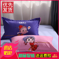 加厚枕套枕头套一对装成人单人学生宿舍枕皮枕芯套