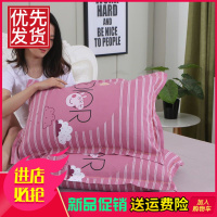 枕套一对100%纯棉情侣全棉枕芯套大号卡通枕罩单人加厚成人枕头套