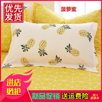 百思寒 纯棉枕套亲肤不褪色不起球 全棉枕头套卡通一只装一对装