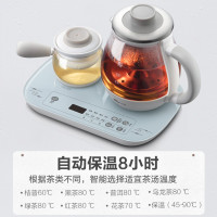 小熊(Bear)养生壶 蒸汽喷淋式煮茶器玻璃加厚304不锈钢茶壶煮茶壶烧水壶 ZCQ-A08E1