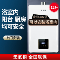 志高平衡式燃气热水器可装浴室卫生间室内天然液化气煤气 平衡式十二升上门安装 液化