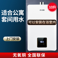 志高平衡式燃气热水器可装浴室卫生间室内天然液化气煤气 平衡式十升上门安装 天然气