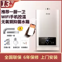 志高燃气热水器家用12升13L恒温天然气液化气煤气强排平衡式16升 十三升恒温省气无线款 天然气