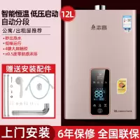 志高燃气热水器家用12升13L恒温天然气液化气煤气强排平衡式16升 十二升智能金色 天然气