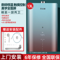 志高燃气热水器家用天然气液化气强排恒温电煤气即热 十三升全面屏恒温包装 天然气