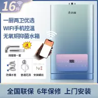 志高燃气热水器家用恒温强排零冷水天然气煤气液化气 十六升无线款高配恒温 液化