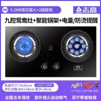 志高煤气灶双灶燃气灶家用嵌入式天然气灶台式液化气灶猛火灶炉具 顶配聚能九腔电显防烫 液化气