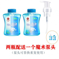 [儿童试用]正品家用泡沫洗手液清香型消毒抑菌洗手液批发价 天堂鸽洗手液2瓶装