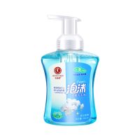 [消毒]抑菌泡沫洗手液清香型儿童成人通用保湿家用 天堂鸽洗手液1瓶
