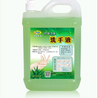 正品泡沫香水芦荟洗手液散装大桶装净重9斤4.5kg家用酒店餐厅专用 芦荟无泵头