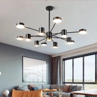 北欧灯具吊灯客厅简约现代家用三室两厅符象套装餐厅吊灯卧室 屋套餐