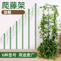 花架爬藤架植物支架杆符象蟹爪兰绿萝月季铁线莲支撑杆阳台固定攀爬架