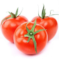 [4.5斤精选]西红柿小蕃茄普罗旺斯西红柿 沙瓤沙绵鲜甜汁水多 鲜贝达蔬菜