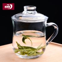 青苹果耐热喝水杯子家用泡茶花茶带盖办公司女士可爱小号带把水杯