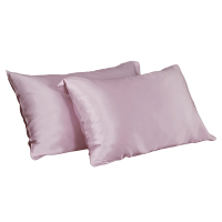 真丝枕套双面天然桑蚕丝19姆米丝绸枕头套74*48cm