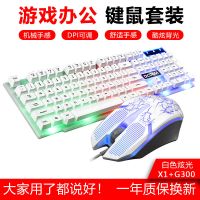 有线键盘鼠标套装游戏机械手感背光键鼠usb电脑笔记本网吧 白色炫光(高贵款)二件套
