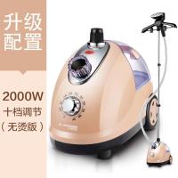 大蒸汽挂烫机家用熨斗烫衣服小型手持熨烫机挂立式电熨斗神器 棕色