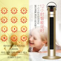 立式取暖器家用大面积暖风机冷暖两用电暖气扇浴室制热小空调