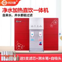 净水器家用直饮加热一体机RO反渗透纯水机厨房壁挂式饮水|标准款加热一体机红色+果蔬消毒 自行安装(有视频指导安装)