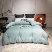 臻品大豆纤维被子加厚保暖冬被1.8m/2.0m单人双人被子被芯1.5m单人棉被春秋太空被