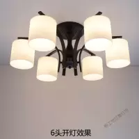苏宁放心购 北欧吸顶灯具现代简约客厅灯饰大气家用欧式美式大厅卧室房间大灯