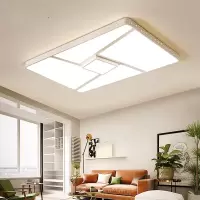 苏宁放心购 2020年新款客厅灯简约现代大气家用大厅大灯LED卧室吸顶灯长方形