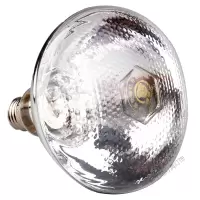 苏宁放心购 保温灯仔猪保温灯泡 养殖取暖灯加热灯250W 10个