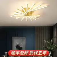 苏宁放心购 led灯客厅灯卧室灯餐厅灯书房花形线条创意个性北欧现代简约大气灯饰灯具套餐