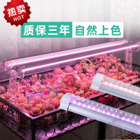 苏宁放心购 多肉补光灯 上色全光谱LED蔬菜花卉育苗食虫仿太阳植物生长灯