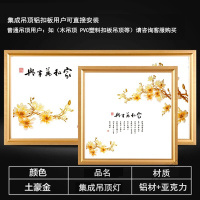 苏宁放心购 LED吸顶灯集成吊顶led灯平板灯铝扣面板厨房卫生间灯300*300*600嵌入式灯具