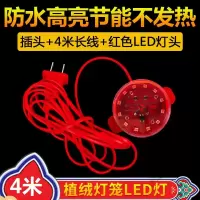 苏宁放心购 灯笼专用红色LDE灯泡 灯笼伴侣 LED灯笼内置防水电线电灯红色灯线 灯笼灯泡专用配 LED灯4米长