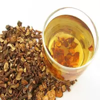 长白山野生蒲公英根茶