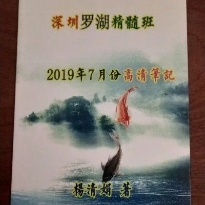 杨清娟深圳罗湖精髓班2019年7月份文字高清笔记 赠录音