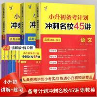 小升初备考计划名校冲刺45讲小升初总复习资料语文数学英语期末冲刺6年级期末专项训练题练习册小升初真题 语文+数学+英语3