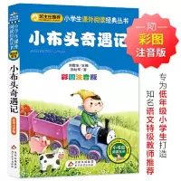 《小布头奇遇记》(彩图注音版)小学生课外阅读经典一二年级小学生课外阅读经典丛书小书虫阅读系列 小布头奇遇记 小学通用
