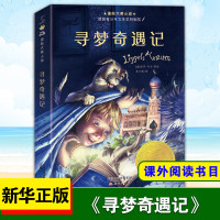 寻梦奇遇记保罗马尔著小学生三四五六年级校园课外阅读书籍外国儿童文学小说故事读新蕾出版社必凤凰 寻梦奇遇记