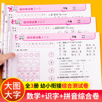 三册幼小衔接入学准备测试卷拼音识字教材综合全套试卷一日一练思维训练幼儿园中班大班升一年级学前班幼升小