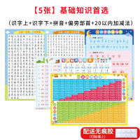 一年级识字挂图汉语拼音儿童学习早教认知墙贴表幼小衔接卡上下册