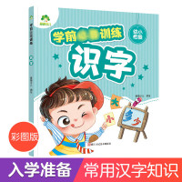 学前训练识字爱德少儿早教幼小衔接拼音幼儿园宝宝识字书练字本中班儿童书幼升小幼儿园3-6岁学前班大班拼 学前训练/B7识字