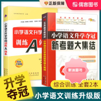 [精选好书 ] 小学语文升学夺冠知识大集结升学夺冠训练A体系全套 小升初知识大集结小升初语文专项训练小学升初中总复习书