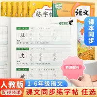 [精选好书 ] 人教版一二年级上下册练字帖三四五六年级上册下册练字字帖全套看拼音写词语控笔训练每日一练语文同步练字帖 一