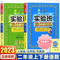 [精选好书 ] 2023春雨实验班提优训练二年级上册下册语文数学人教版苏教北师版同步提优阅读与训练 小学2年级课本教材同